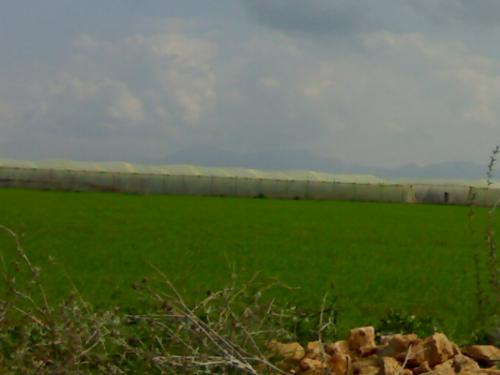 201003142625.jpg