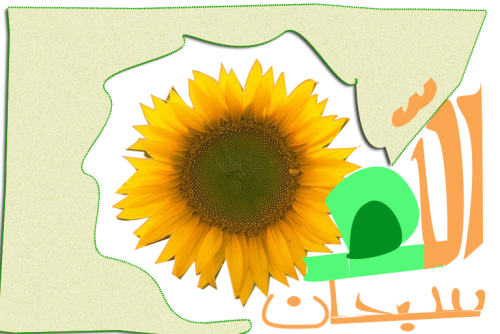 post-100052-1302479520_thumb.png