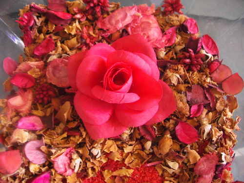 post-30765-1272716820.jpg