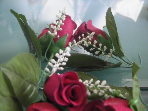 post-30765-1272716884.jpg