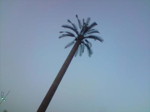 post-40648-1275340243_thumb.jpg