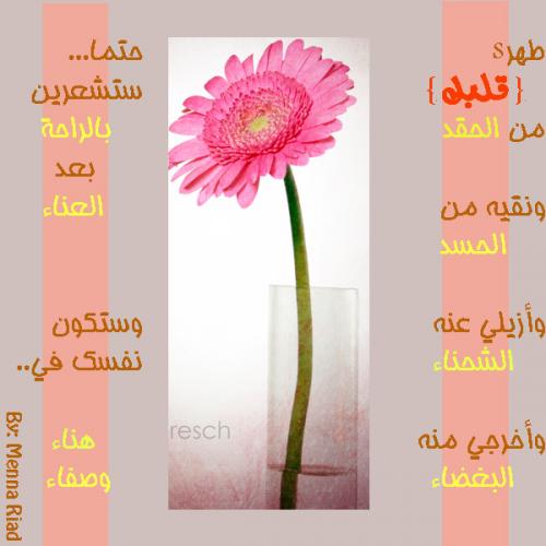 post-136712-1278512889_thumb.jpg