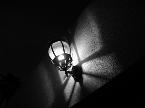 photo_zahra__26_.jpg