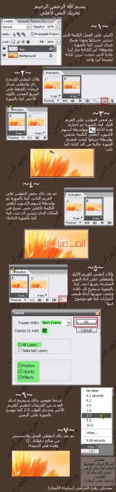 post-25975-1249241160_thumb.png