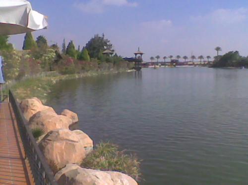 post-104069-1259606629_thumb.jpg