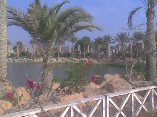 post-104069-1259607475_thumb.jpg