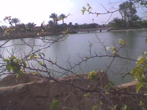 post-104069-1259607696_thumb.jpg