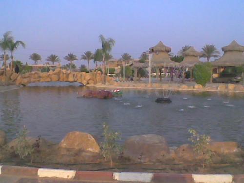 post-104069-1259608032_thumb.jpg