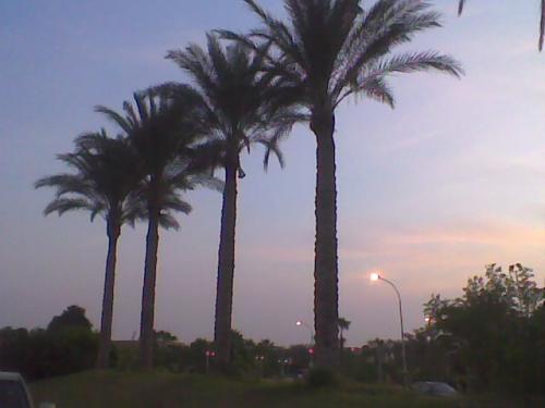 post-104069-1259608352_thumb.jpg