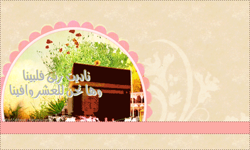 post-125640-1289627573.gif