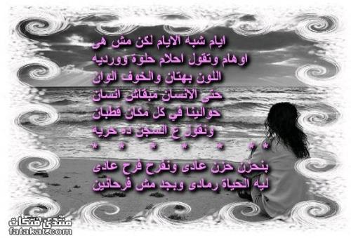 post-162047-1289081123_thumb.jpg