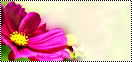 post-94490-1288972982.gif