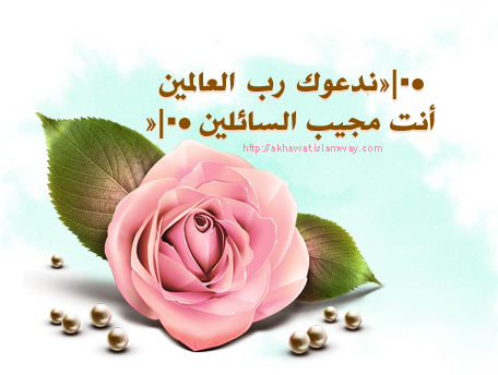 post-28298-1291212347.png