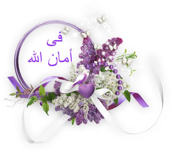 image.png.0ef4167745b286f3eaa818dd9b7f1003.png