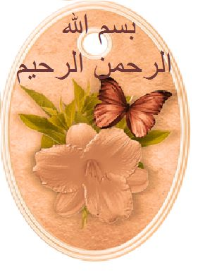image.png.7a621ce77f7960b34941bd30aa3776e8.png