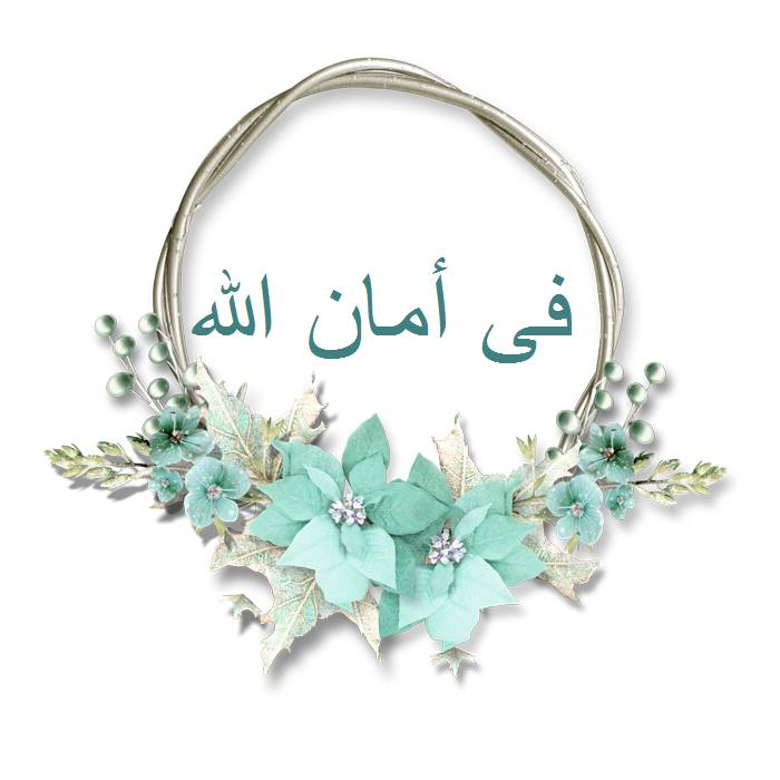 image.png.9983f6ce48b8aa8bb6d7ce2d5213d1b8.png