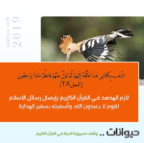 ح يوانات و ظ ف ت لسيرورة الحياة العبادة المنسية أخوات طريق الإسلام