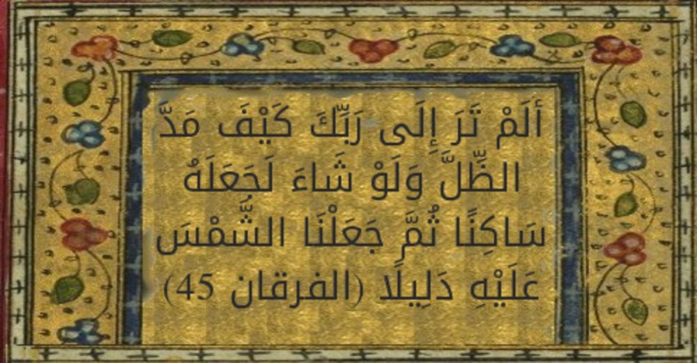 screenshotshort-2900.jpg