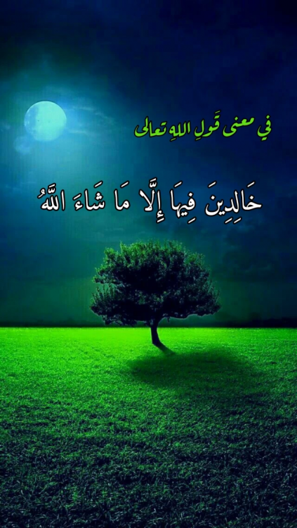 تفسيرالشيخ الشعراوى(الأنعام)128 معنى “خَالِدِينَ فِيهَا إِلَّا مَا شَاءَ اللَّهُ” image.thumb.png.ed82