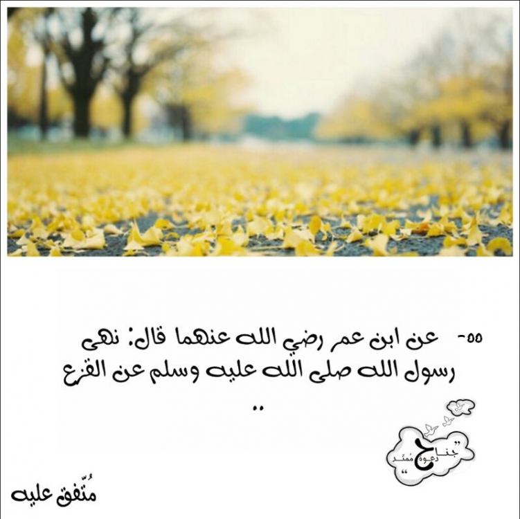 image.thumb.png.570dabb48e15cbcbb8978f298b1c0fca.png