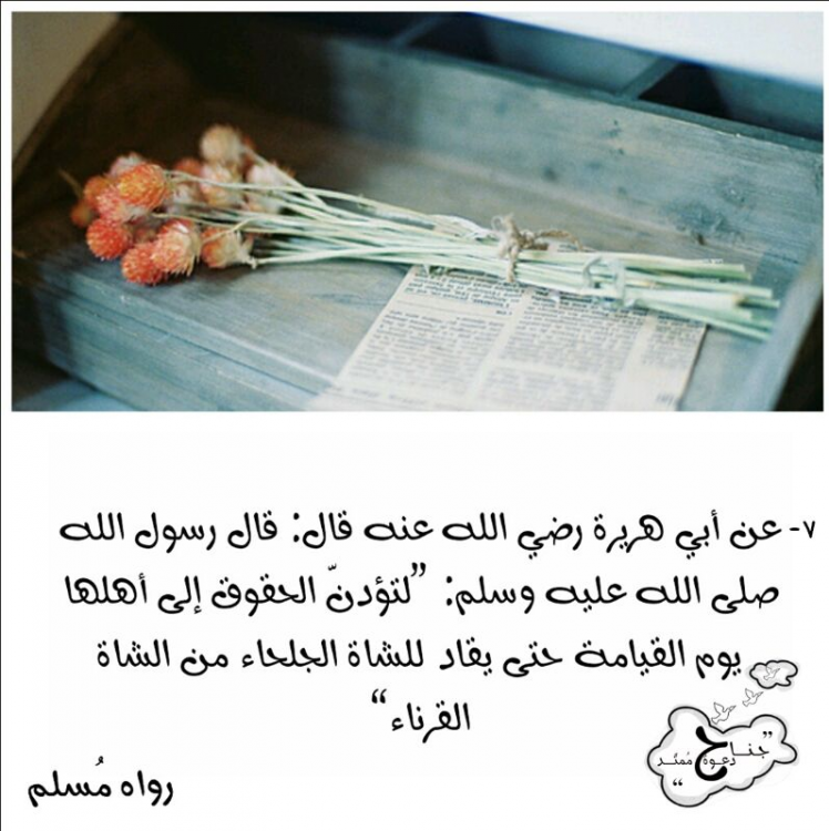 لتوذن الحقوق إلى أهلها يوم القيامة... image.thumb.png.73ad