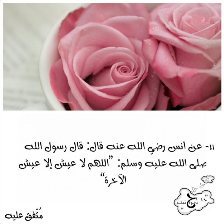 image.thumb.png.ac374622b374f96dd56cced2c1138334.png