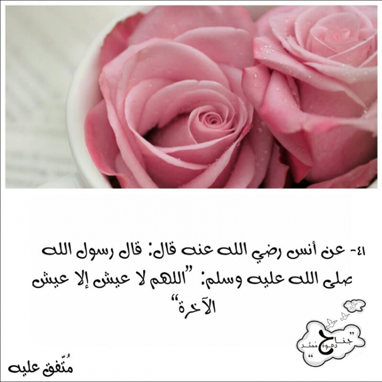 حديث: اللهمَّ لا عيش إلا عيش الآخرة image.thumb.png.ac37