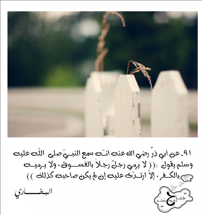 image.thumb.png.63aea0995250cf3a0f356f2503dea981.png