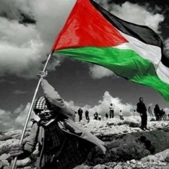 مُقصرة دومًا