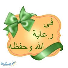 image.jpeg.7ee9743883da5d41a3c8fa24b46eb6fd.jpeg