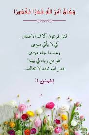 الخضر.. القدر المتكلم في زماننا