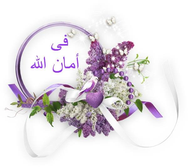 وقفات تدبرية من سورة الصافات
