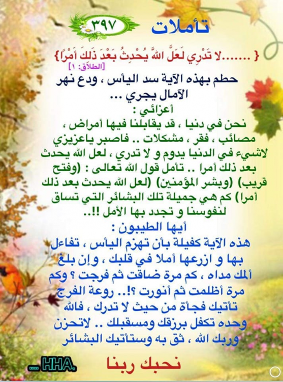 image.thumb.png.60fbf505494d153dcdf08abf3ff264ef.png