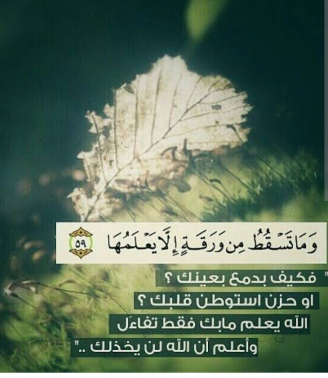 تدبرات فى الجزء السابع من القرآن الكريم