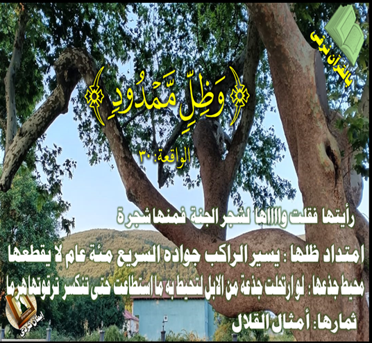 image.png.540041f357fdc7e55f4af06c04ed2679.png