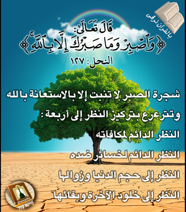 image.png.98f337330830c4aca05ff26d35af6d31.png