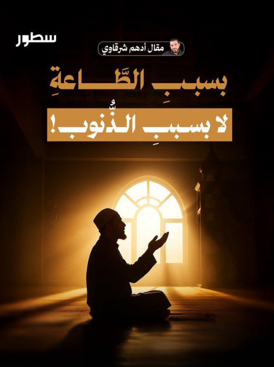 image.thumb.png.135d6f930fe7a23cd506f22352cc0822.png