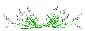 image.png.4170083129f4f89ed9c00e32e2b45882.png
