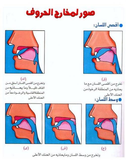 post-11885-1206995644_thumb.jpg
