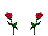 post-14477-1205615918.gif
