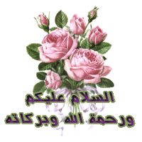 post-14477-1205619053.gif