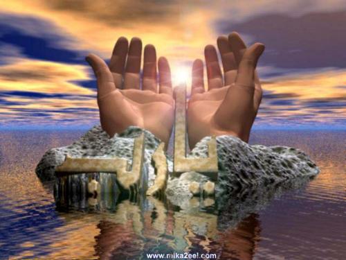 post-17841-1203080286_thumb.jpg