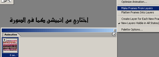 post-22716-1171364692.gif