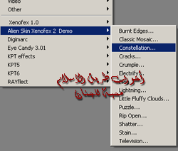 post-22716-1171364760.gif
