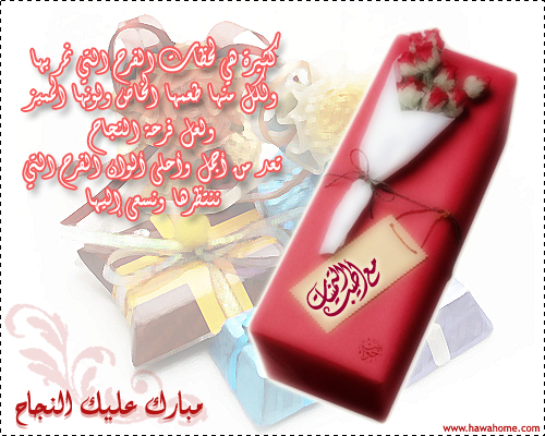 post-24538-1173991555.jpg