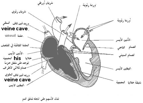 post-25272-1208747333_thumb.jpg