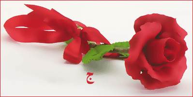 post-26940-1175896862.gif