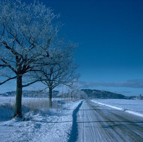 Snow3.jpg