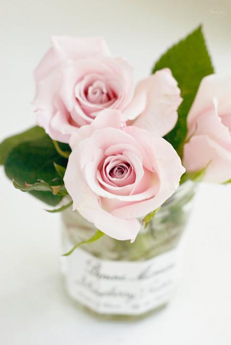 il_570xN.331797717.jpg