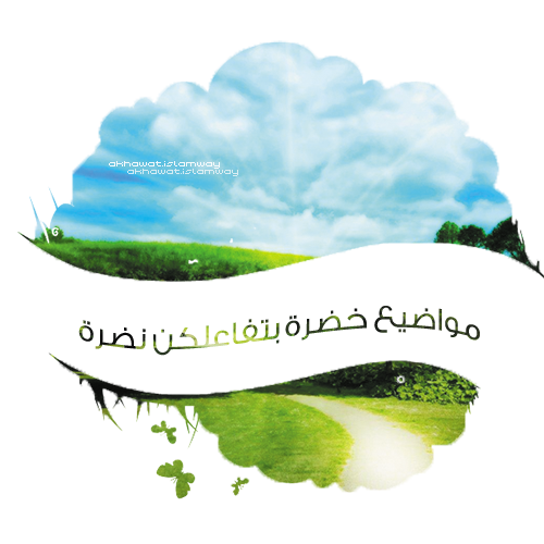 post-36649-0-47862900-1397493553.png